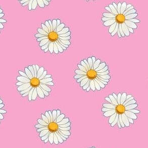 daisies on pink