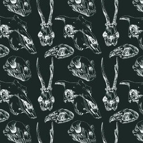 Animal Skulls Dark