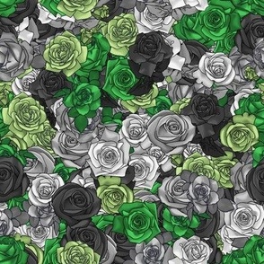 Aromantic Pride Roses