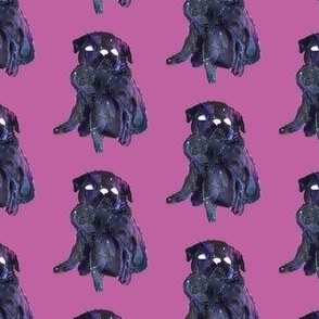 Galaxy Pug - Mauve