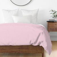 Blush Pale Pink Solid Light Pink Solid Color Blush Pink