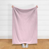 Blush Pale Pink Solid Light Pink Solid Color Blush Pink