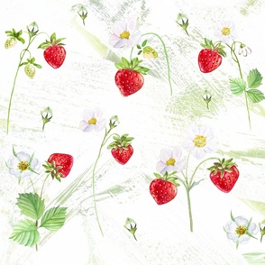 macro strawberry field farmhouse