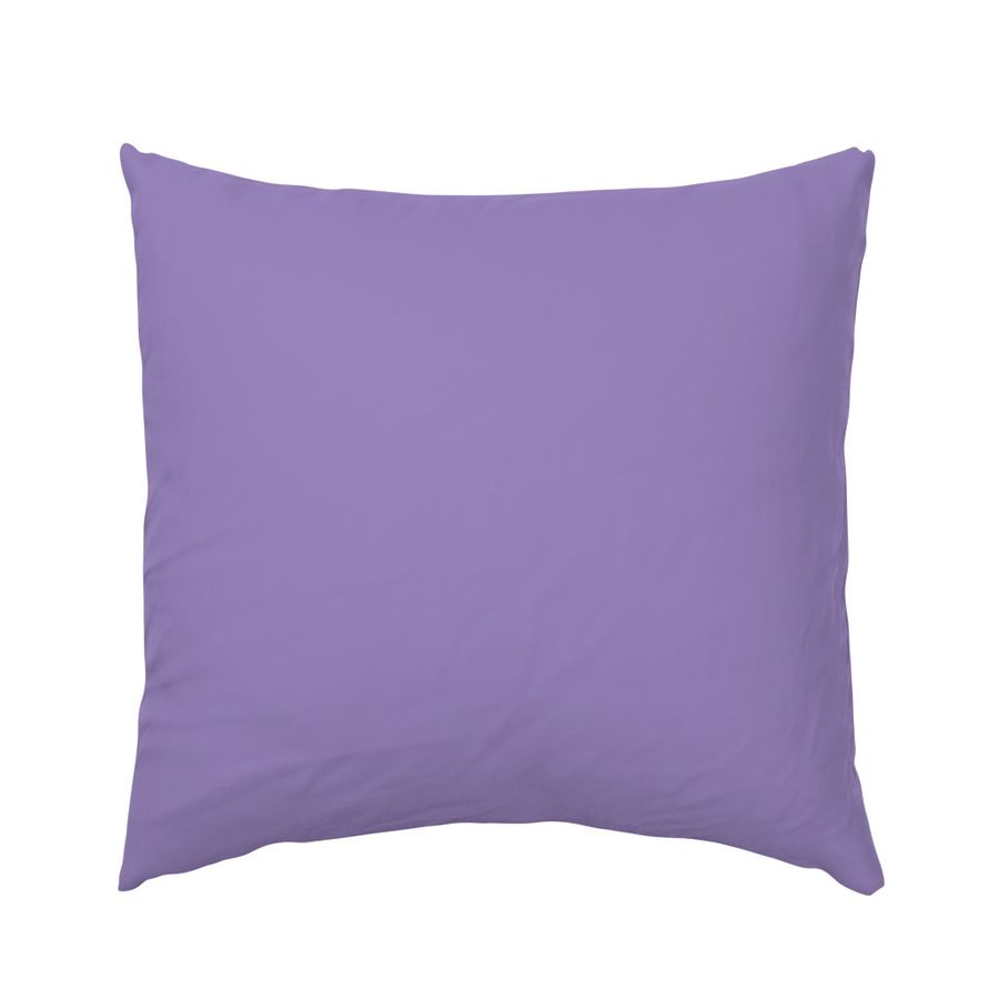 Home Decor Euro Pillow Sham