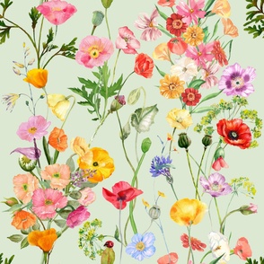 floral inspiration dreamy summer poppies