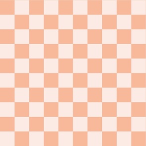 Peach Fuzz Light Orange Checkerboard  2024 Pantone