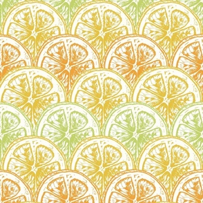 (S) Hand Drawn Vibrant Mediterranean Citrus Slices 