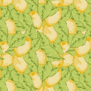 (M)-Hand-Drawn-Vibrant-Mediterranean-Citrus-lemons-and-foliage