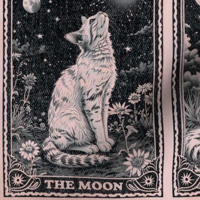 Cat Tarot Cards Vintage Moon and Stars Witchy Cute Cats Kittens Card Boho