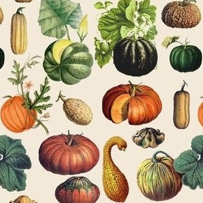 Vintage Pumpkins