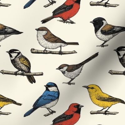 Birds Mid Century Bird Feeder Watching Pattern Maximalist Painting