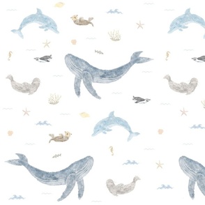 Ocean animals